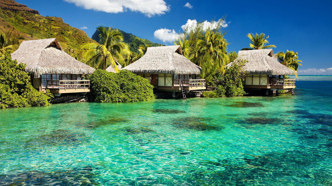 Jamaica Travel Guide