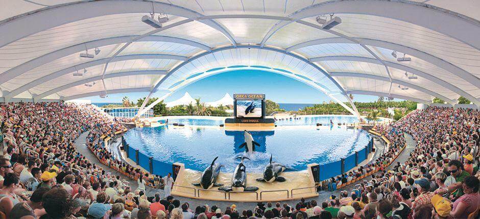 Budget Family Holiday Guide for Tenerife